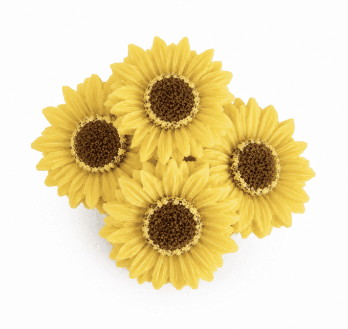 Les tournesols de Francine - Vanille des Iles