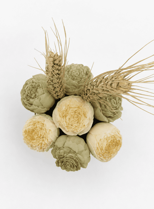 Le petit bouquet d'Agathe - Verveine