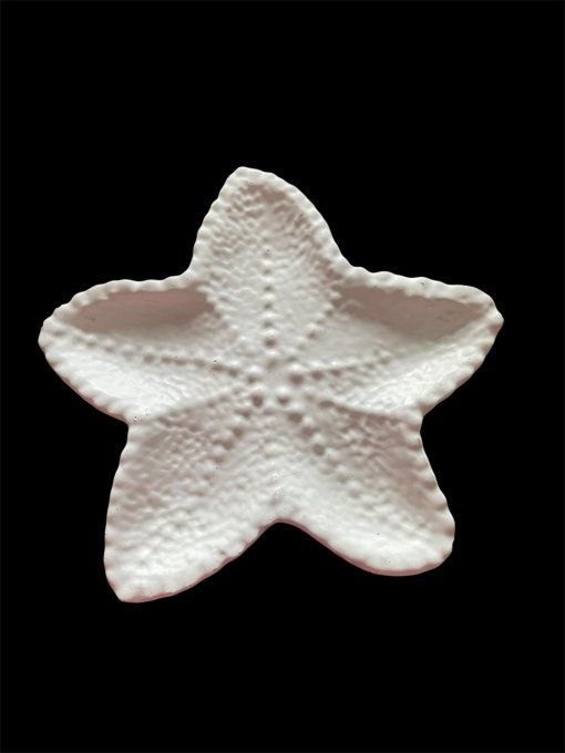 Vide poche étoile de mer